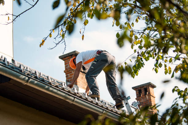 Best Roof Gutter Cleaning  in Royal City, WA
